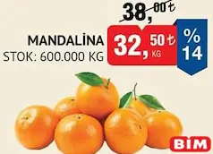 MANDALİNA KG MANDALİNA KG